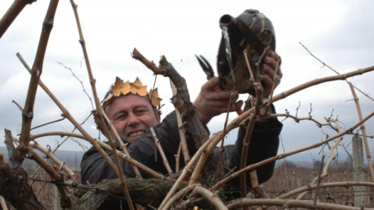 Снимка: Булфото