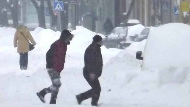 Снимка: Булфото