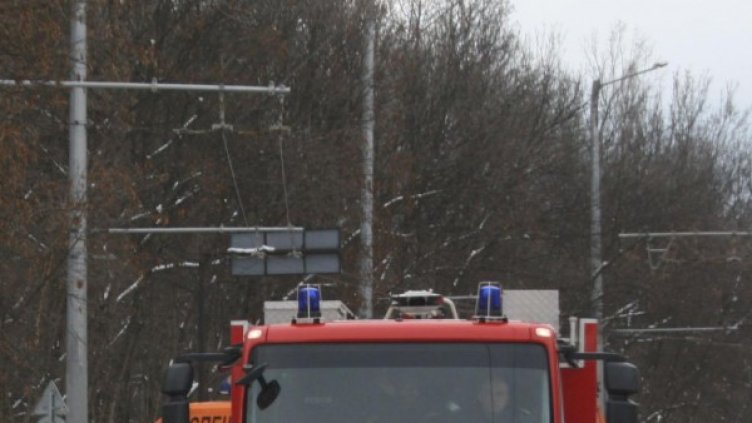 Снимка: Булфото