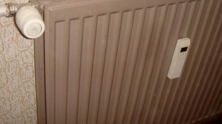 Снимка: Булфото