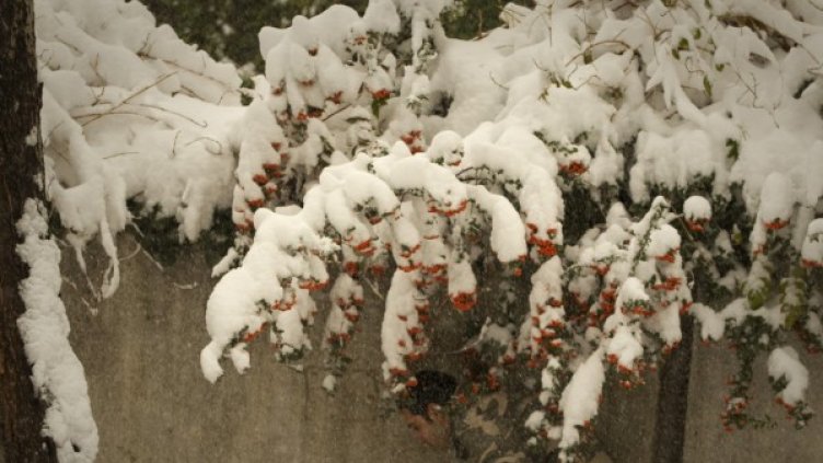 Снимка: архив, Reuters