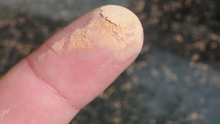 Снимка: архив, Булфото