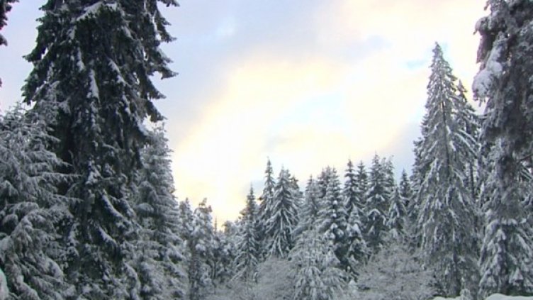 снимка: Bulgaria On Air