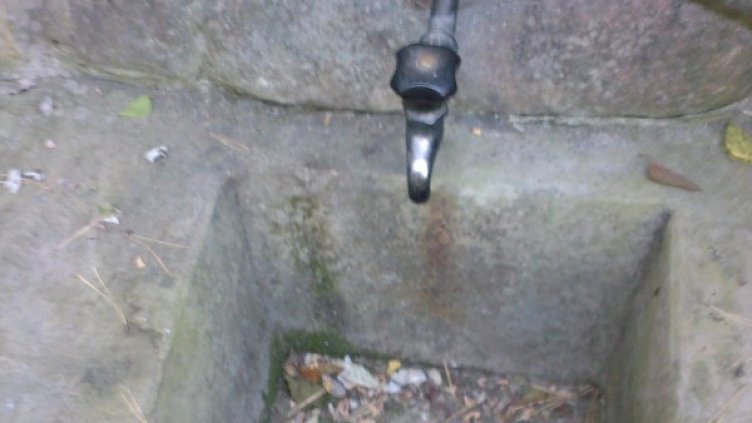 Снимка: архив, Булфото