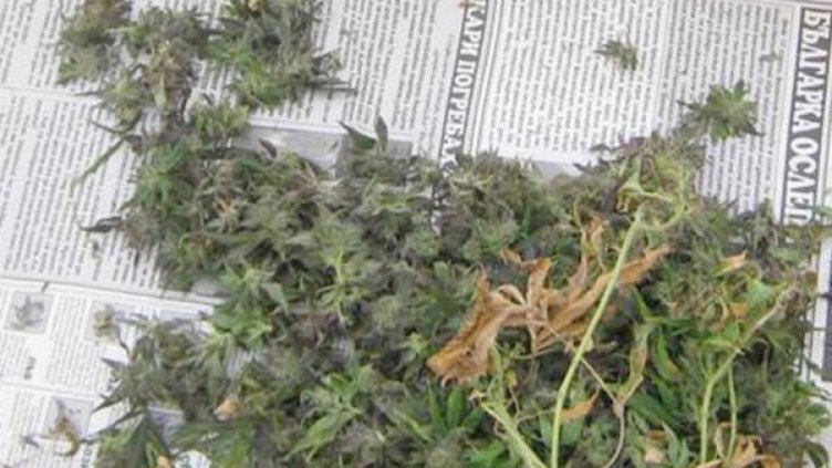 Архив: Булфото