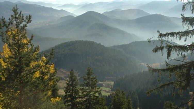 Родопите. Снимка, архив, Булфото