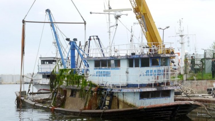 Снимка: Булфото, архив