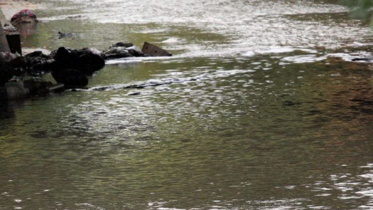 Архив: Булфото