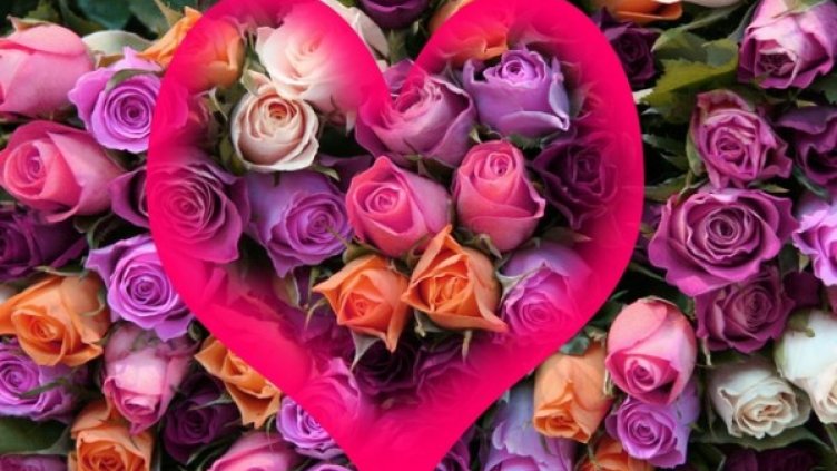 Снимка: Sxc.hu