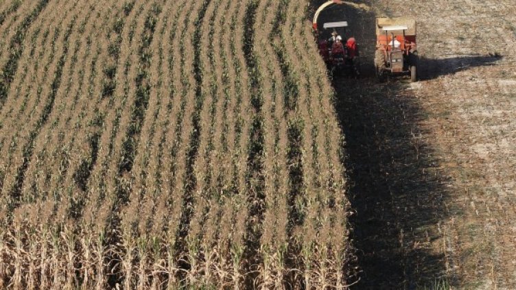 Снимка: архив, Reuters