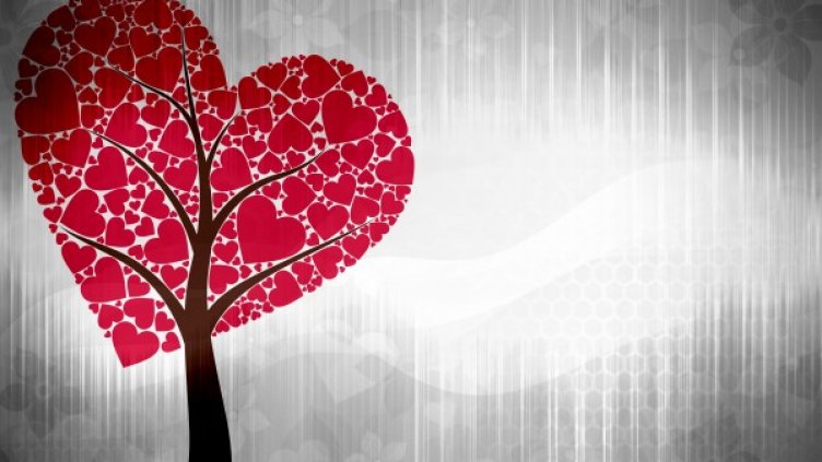 Снимка: Sxc.hu