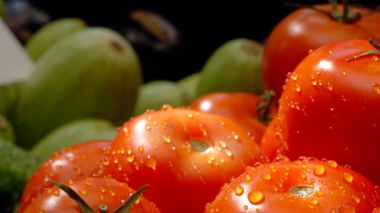 Снимка: архив, БулФото