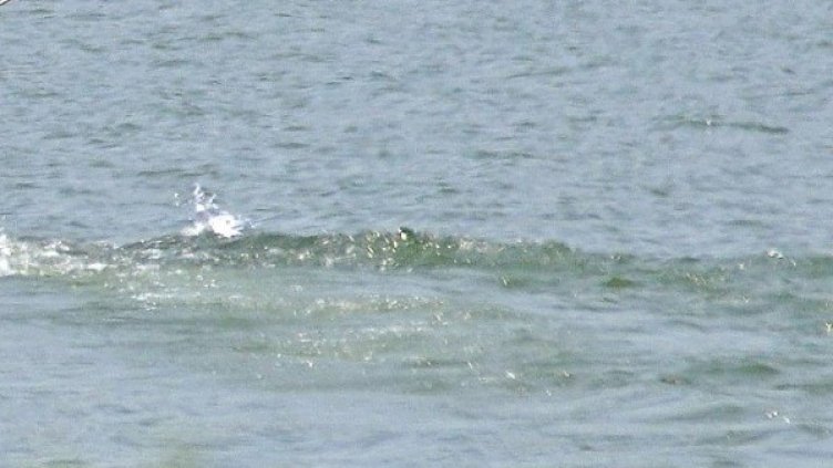 Снимка: архив, БулФото