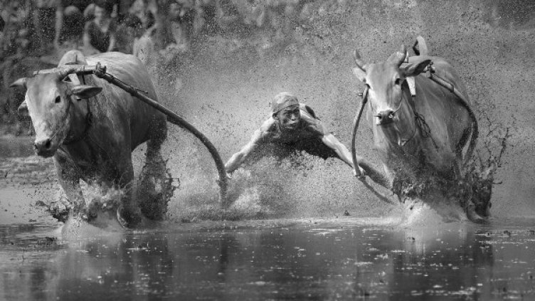 Най-добрите снимки през 2013