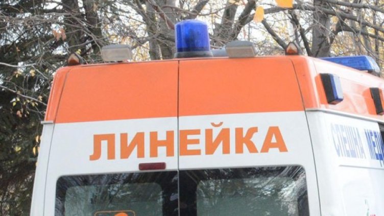 Снимка: Булфото