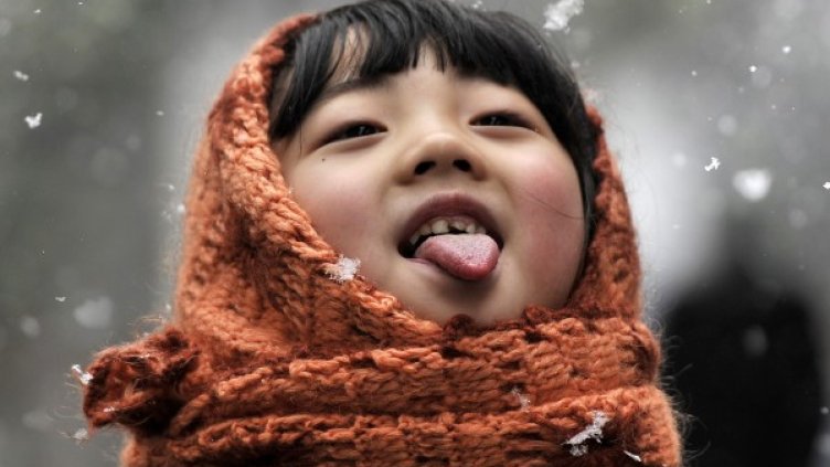 Дръжките в тоалетните най-мръсни? По-скоро не