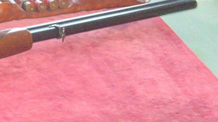 Архив: Булфото