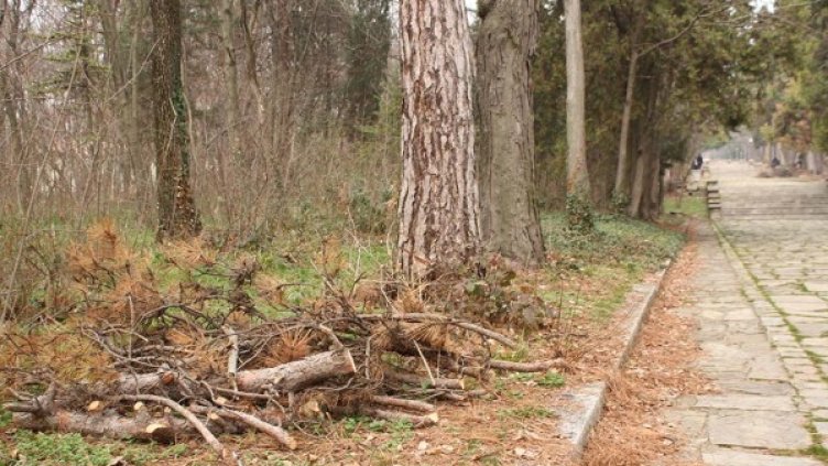 Снимка: Община Стара Загора