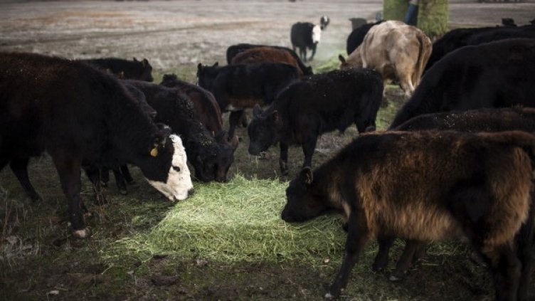 Снимка: Reuters