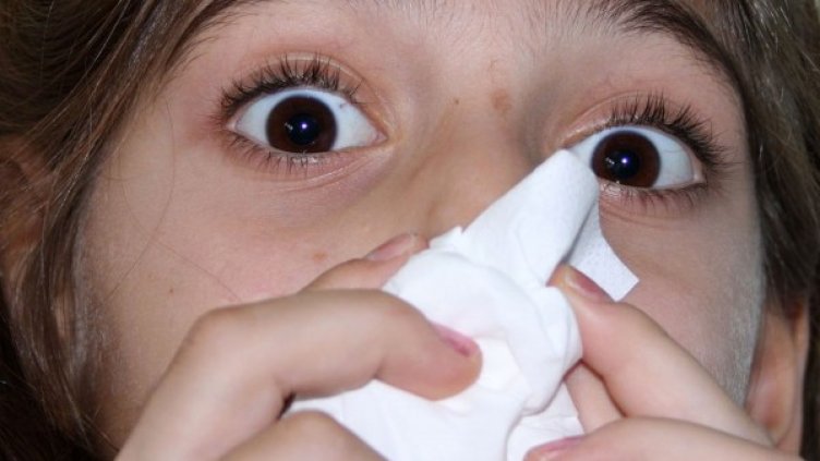 Снимка: Impact Press Group