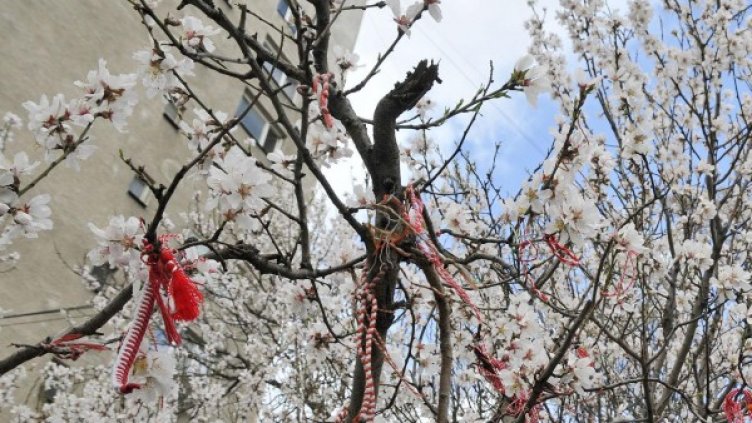 Снимка, архив Булфото