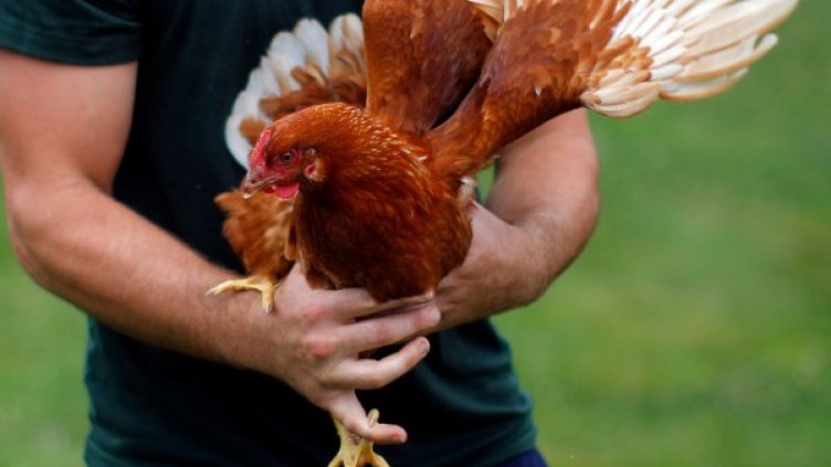 Снимка: Reuters