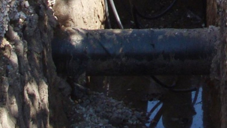 Снимка: архив, Булфото