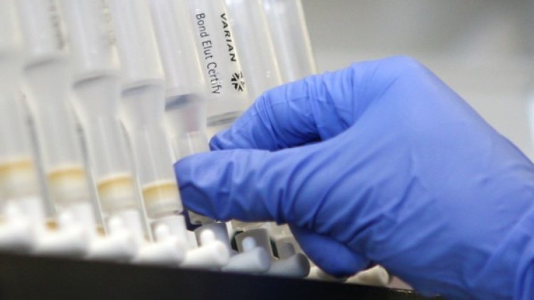 Снимка: Getty images/guliver photos