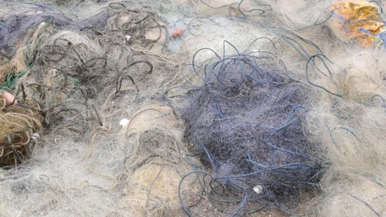 Снимка: Булфото, архив