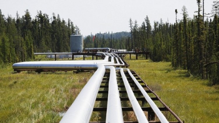 Снимка: архив Reuters