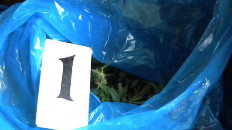 Снимка: архив, Булфото