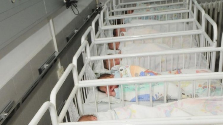 Снимка: архив, БулФото