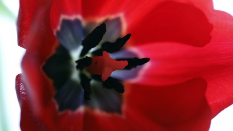 Снимка: архив, Ройтерс