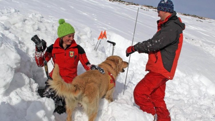 Снимка: Булфото