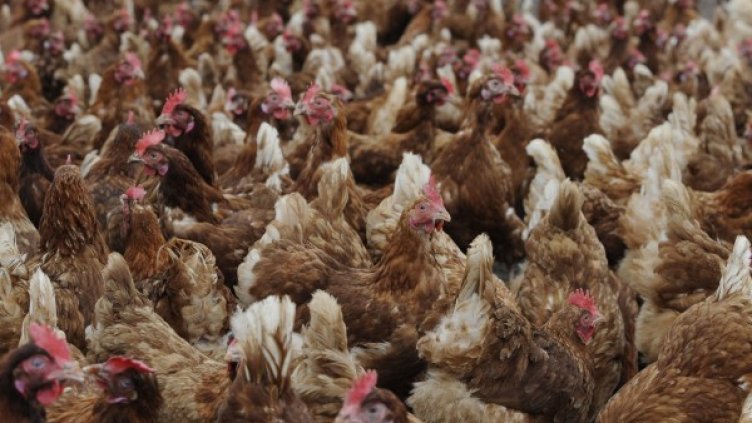 Снимка: Reuters