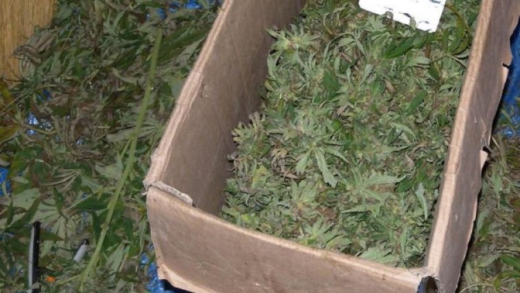 Снимка: архив, Булфото