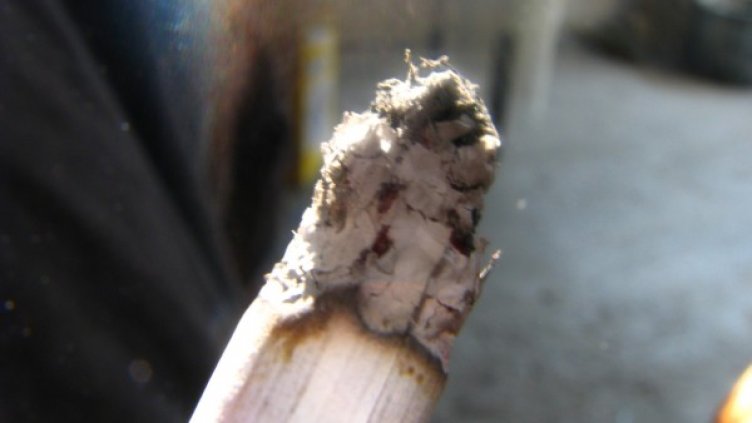 Снимка: sxc.hu