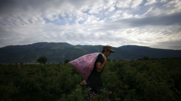 Снимка: Reuters