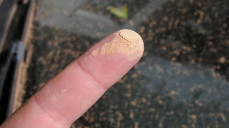 Снимка: архив Булфото