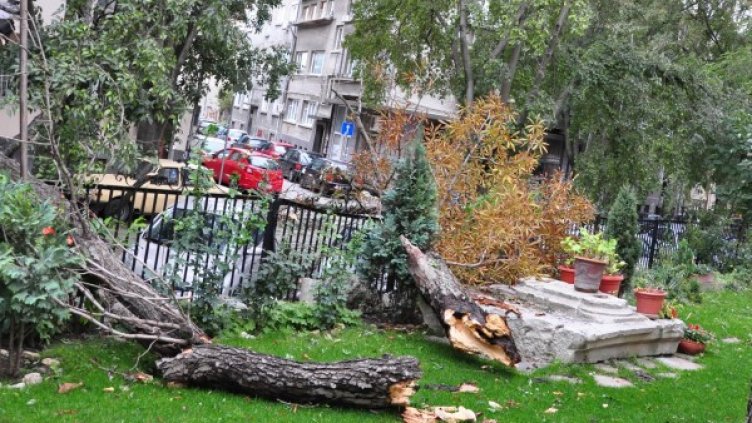 Архив: Булфото