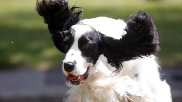 Снимка: Reuters