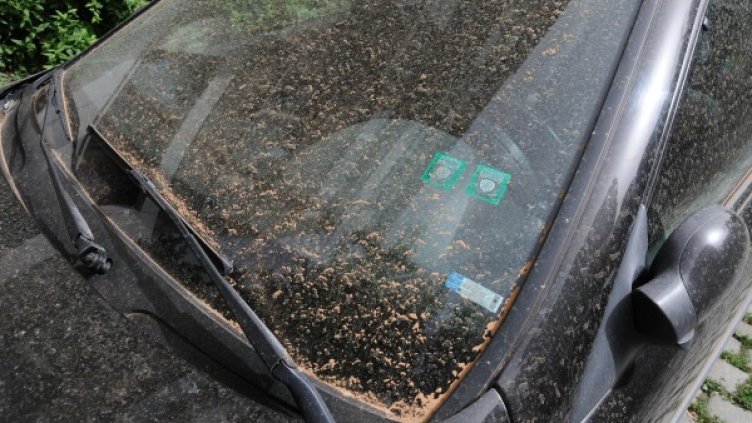 Снимка: архив, Булфото