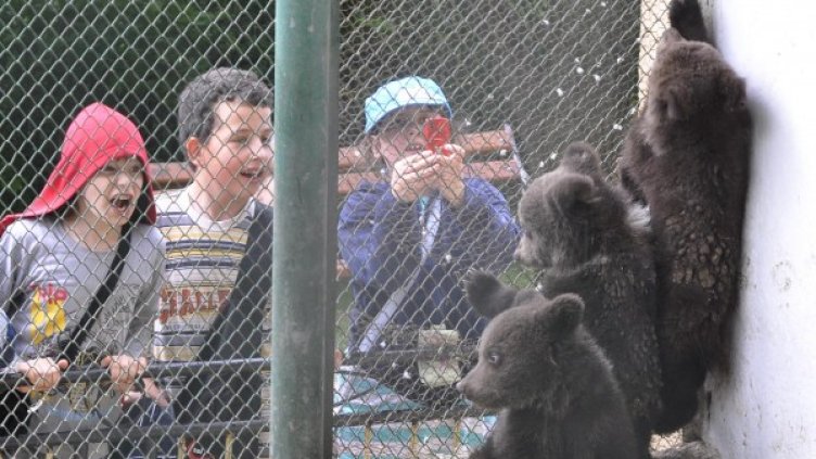 Снимка: Булфото, архив