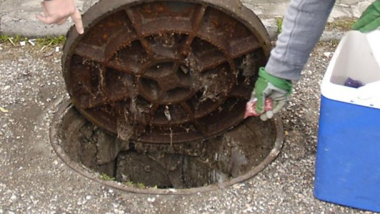 Снимка: архив, Булфото