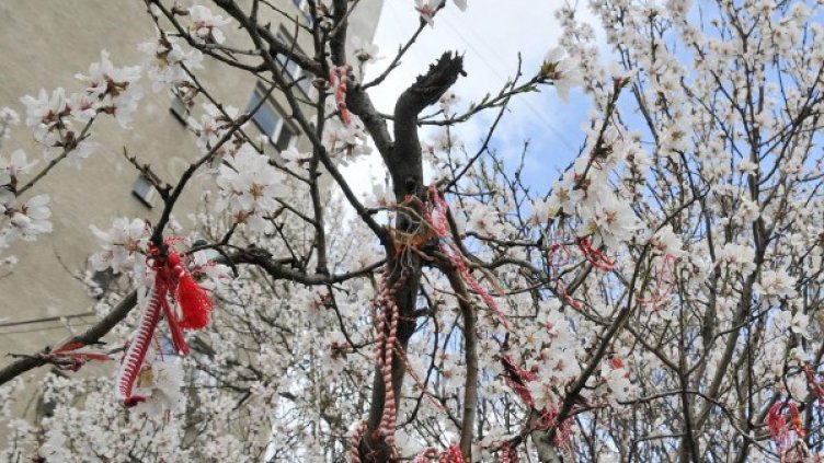 Снимка: Булфото