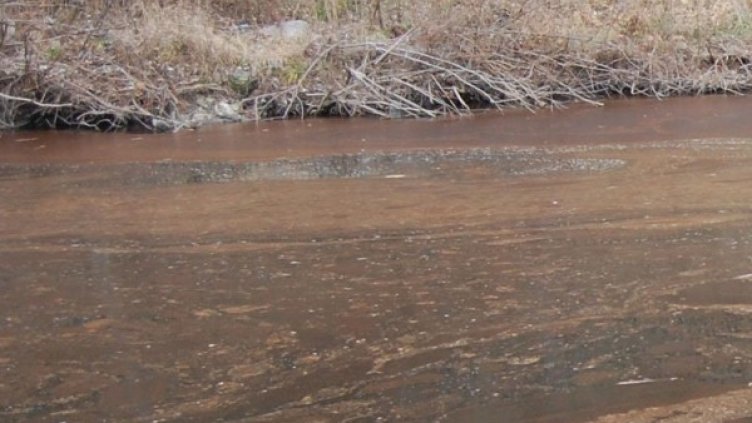 Архив: Булфото