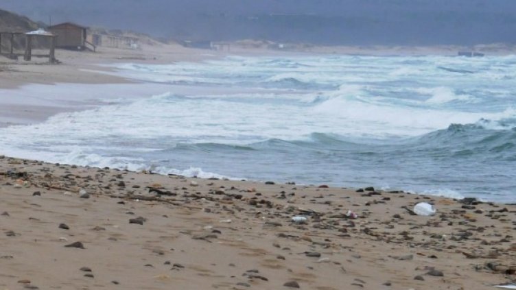 Архив: Булфото