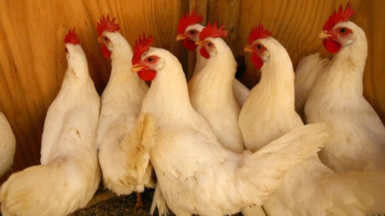 Снимка: Reuters