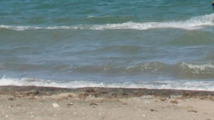 Снимка: архив, БулФото