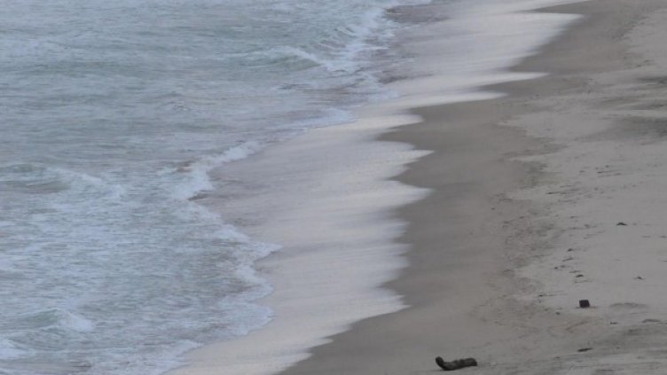 Снимка: архив, Булфото